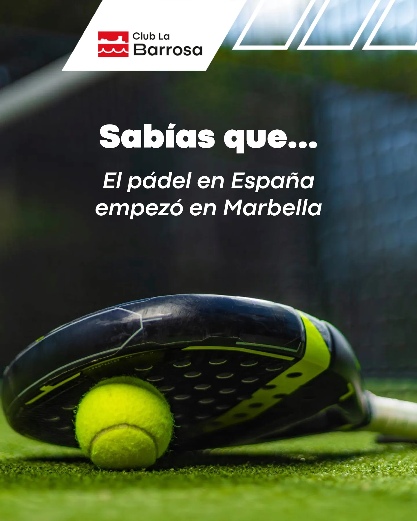 Pala de pádel y pelota sobre la pista, imagen sobre la historia del pádel en el Club La Barrosa